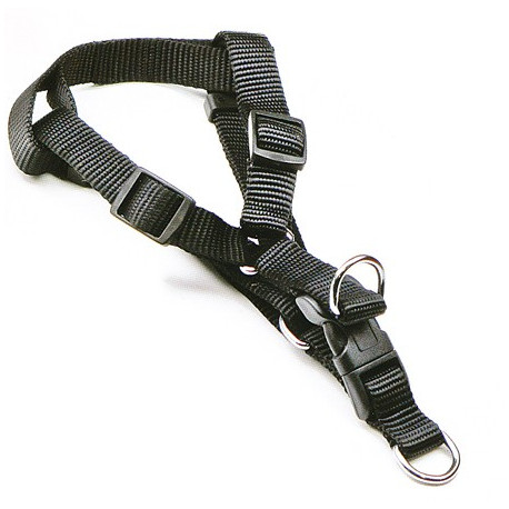 BRUSTGURT HUND NYLON 1