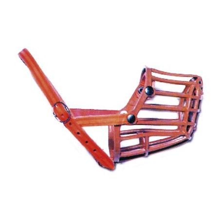 MUSERUOLE PL.FIN.CUO.A.23 n. 7