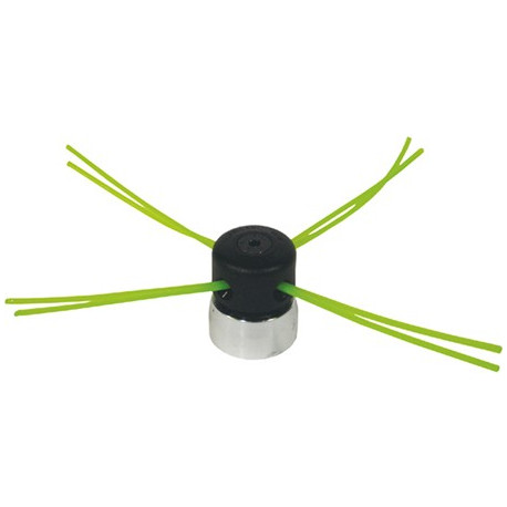 TESTINA ALLUM.con 2 FORI