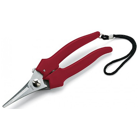 TRAUBENSCHERE ART.144 