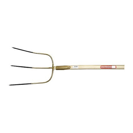 FORC.ABTcMAN.H325PTO 37x32 D.3