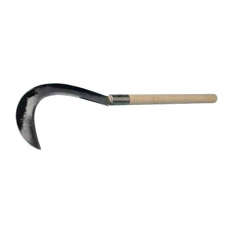 SICHEL SENSE LANGER GRIFF...