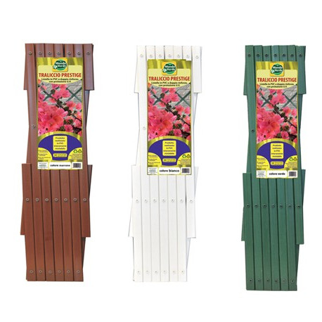 PANTOGRAPH OVALE mt.2x1 VERDE