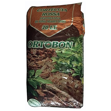 CORTECCIA PIN ELITE   CF.lt.70