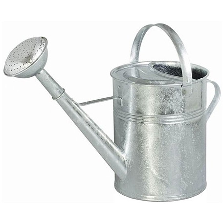 INNAFFIATOI ZINCATI LT9