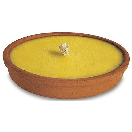 CITRONELLA COCCIO 3h cm17