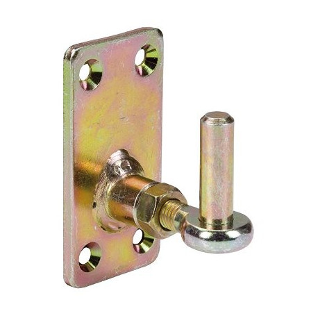 CARDINE REGISTR.xCERN.REG. 744