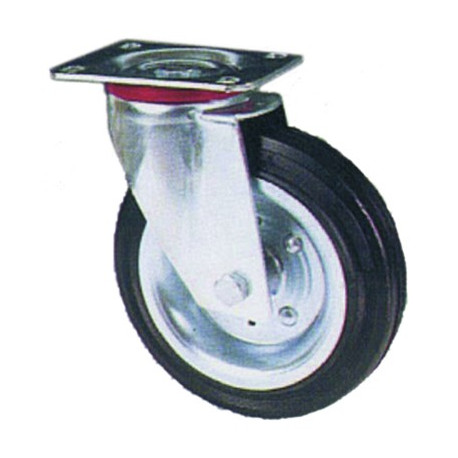 RUOT.PIAS.GI.RUL.GN. 80  D.100