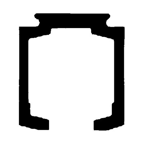 MONOROTAIA ALLUM.mt.6   MS  80