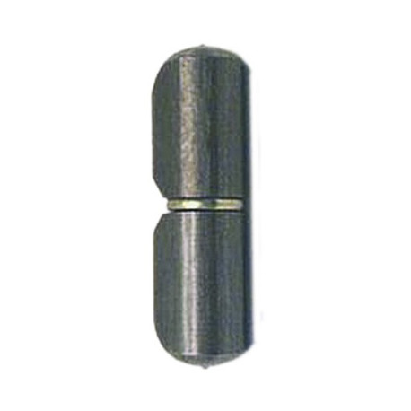 SCHARNIERE TORBÄNDER ART.1113 