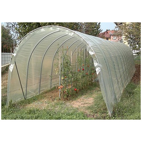 FOGLIA LONGLIFE sp0,2 mt.8