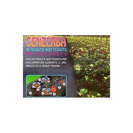 SENZERBA TELO TNT50gr mt1,6x 5