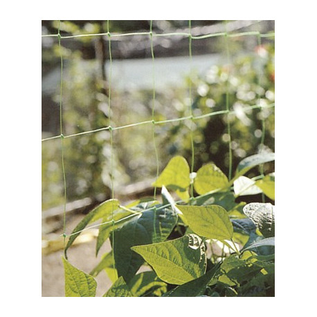 SOSTENGREEN 20   H.m.2 x m.10