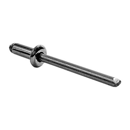 RIVETTI INOX cf100pz mm.4x 8