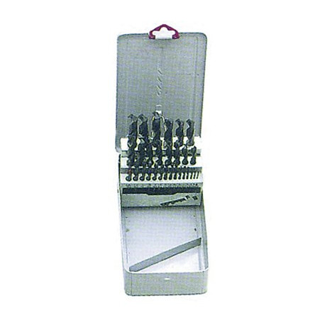 SR.PUNT.HSS AST.MET.pz25 1/13"