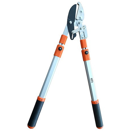 TRONCARAMI MANICO...