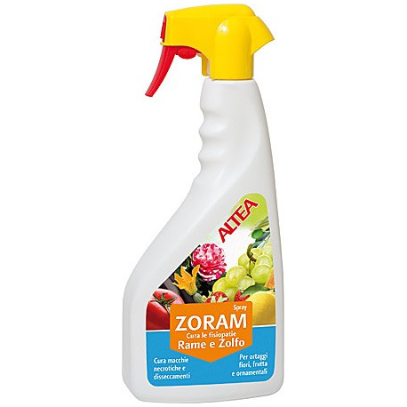 SPRAY ZORAM RAME E ZOLFO