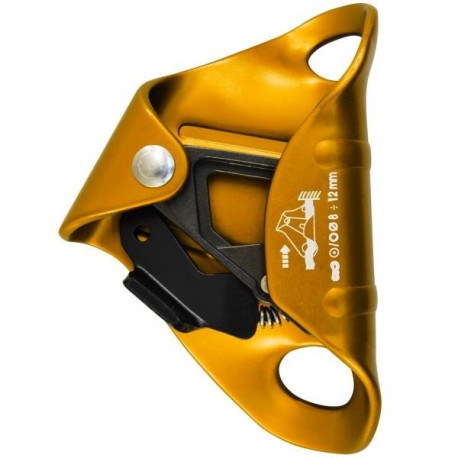 Cam Clean orange KONG