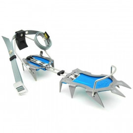 Lys (Automatic) KONG