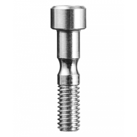 84028 Spare Screw Cupid Swivel silver Edelrid 840280000060