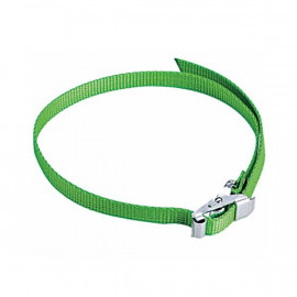 STRIP KONG - ALP DESIGN