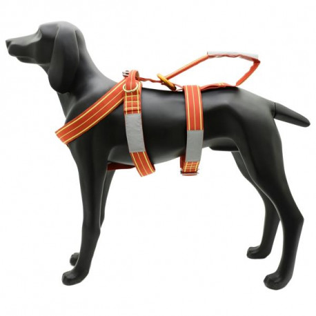 LAIT S KONG - ALP DESIGN