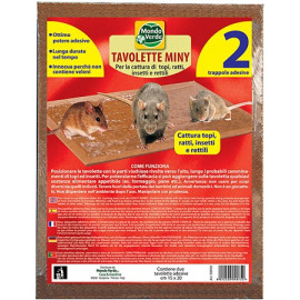 TAVOLETTE cCOLLA 15x20 CF.2