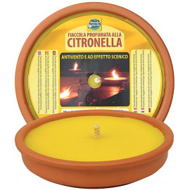 CITRONELLA COCCIO 3h cm17