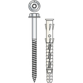 TASS.NY+V.TER TORX VS31 10x100