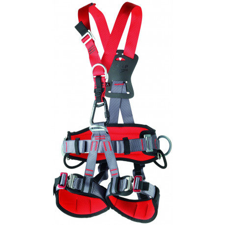 GOLDEN TOP PLUS CAMP