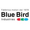 BLUE BIRD