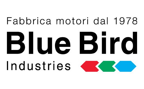 BLUE BIRD